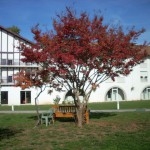 exterieur maison retraite luro