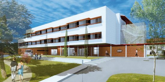 Clinique Luro demain